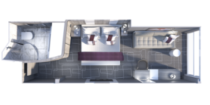 Croisière CEL Celebrity Edge Cabine Vue Mer Panoramique