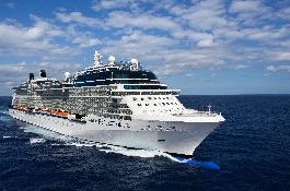 Celebrity Reflection